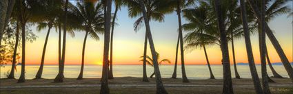 Palm Cove - QLD (PBH4 00 14903)